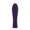 Brand new ⭐ Nalone – Ian Bullet Vibrator Purple 😍