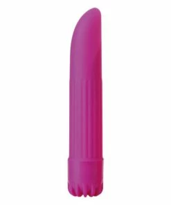 Best Pirce 🤩 Clitoral Vibrators Toyz4Lovers Classics Small Purple Bullet Vibrator 😉
