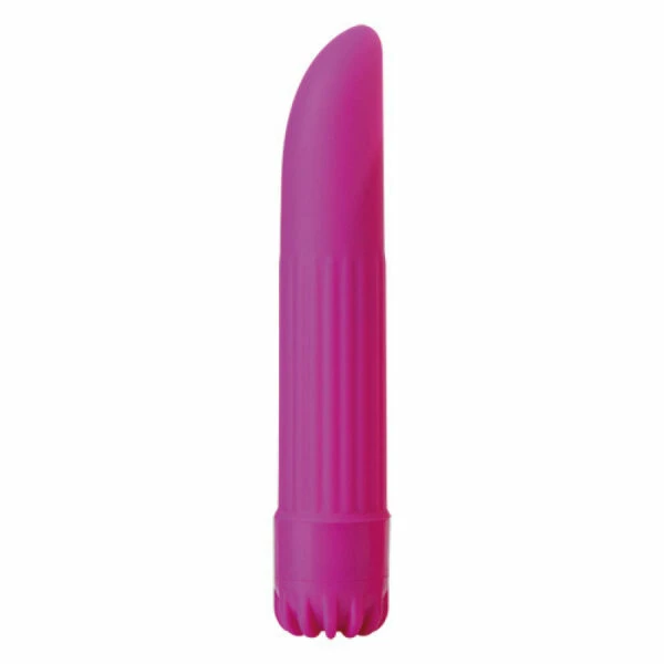 Best Pirce π€© Clitoral Vibrators Toyz4Lovers Classics Small Purple Bullet Vibrator π 1 Best Pirce π€© Clitoral Vibrators Toyz4Lovers Classics Small Purple Bullet Vibrator π